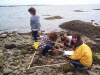 A wonderful day on Outer Island